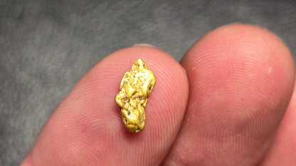 0.51g Gold Nugget Found by Pioneer Pauly on Dan Hurd's New Claim!