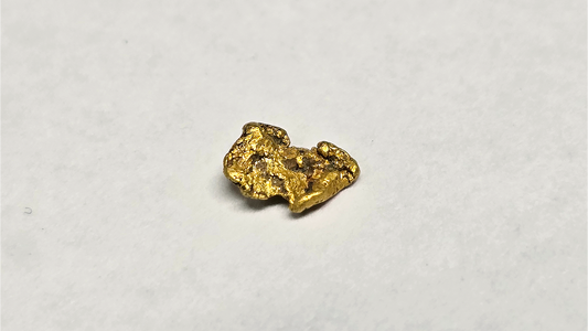 Beautiful 0.19g Gold Picker Found by Pioneer Pauly – As Seen in His Latest Video!