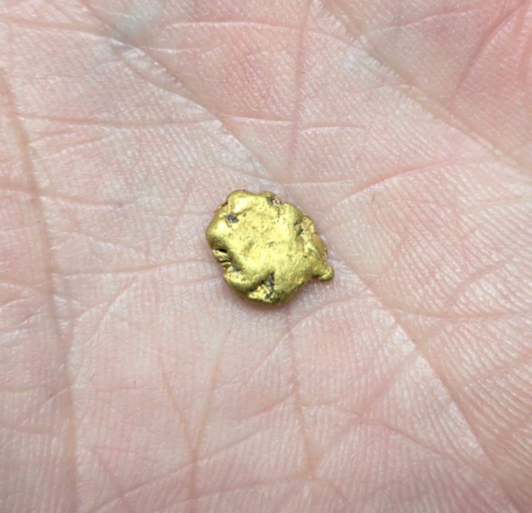 Over a Gram! 1.03g Gold Nugget Found by Pioneer Pauly