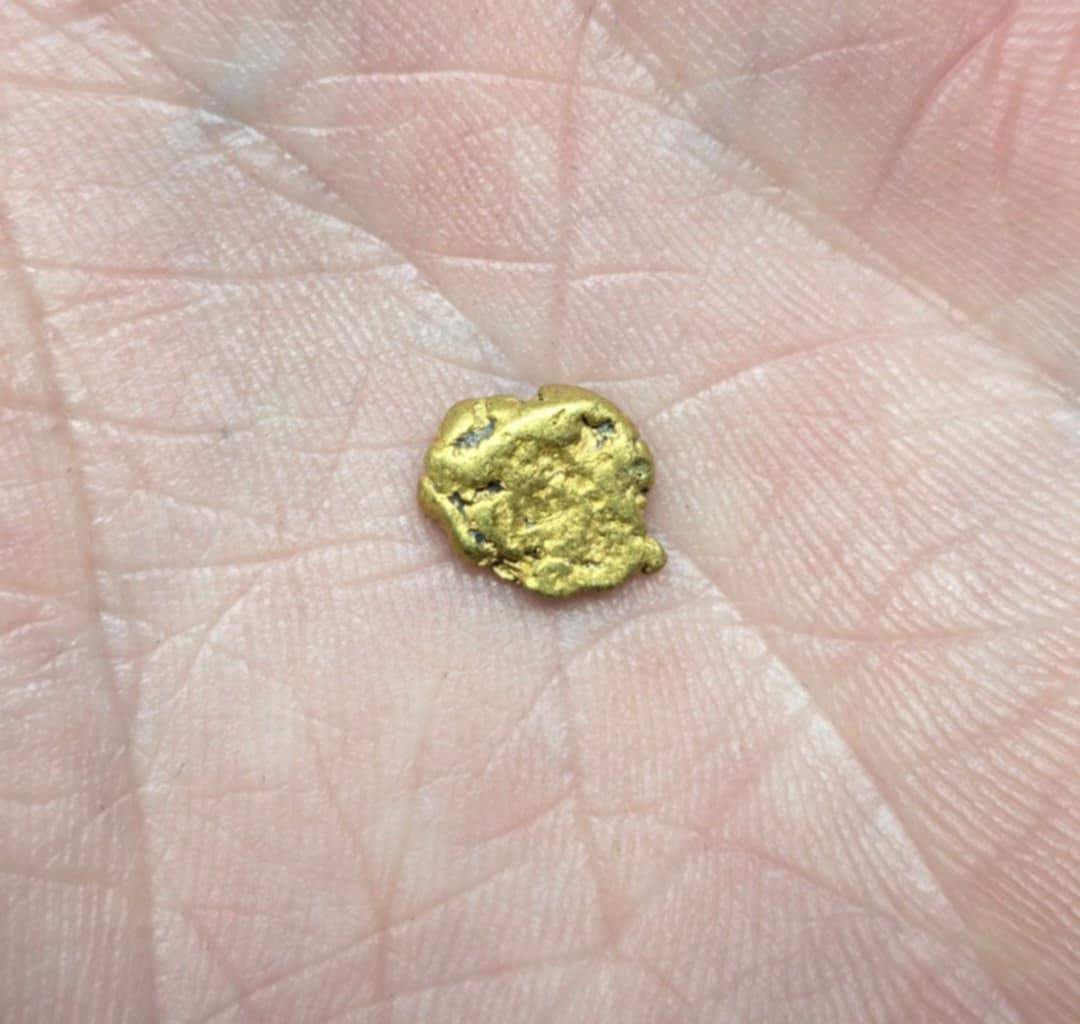 Over a Gram! 1.03g Gold Nugget Found by Pioneer Pauly