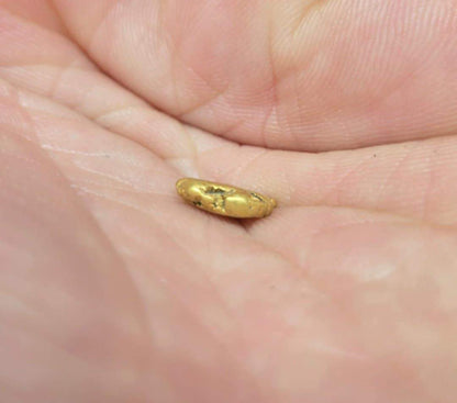 Over a Gram! 1.03g Gold Nugget Found by Pioneer Pauly