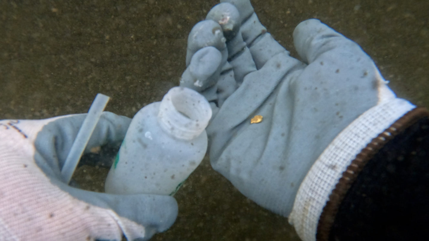 Over a Gram! 1.03g Gold Nugget Found by Pioneer Pauly